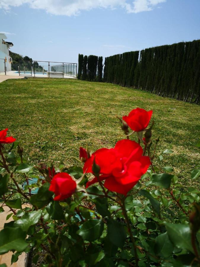 Dana I Eurogolf, Vistas, Wifi, Piscina Y Parking Apartment Benalmadena Bagian luar foto